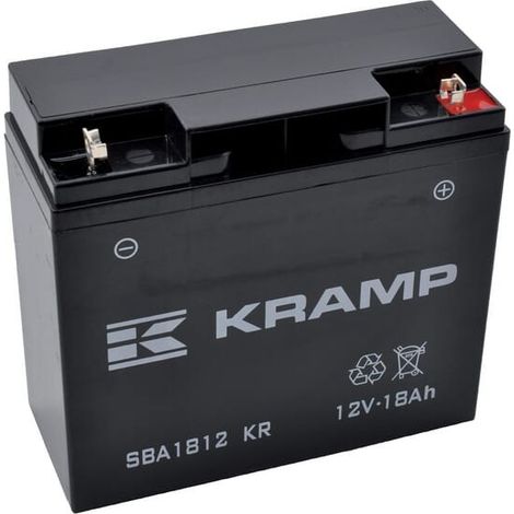Batterie sèche 12V 18Ah – Courant de démarrage à froid 140A – Compatible Castelgarden F72 J92 JP92 – Garantie 12 mois (1/4)