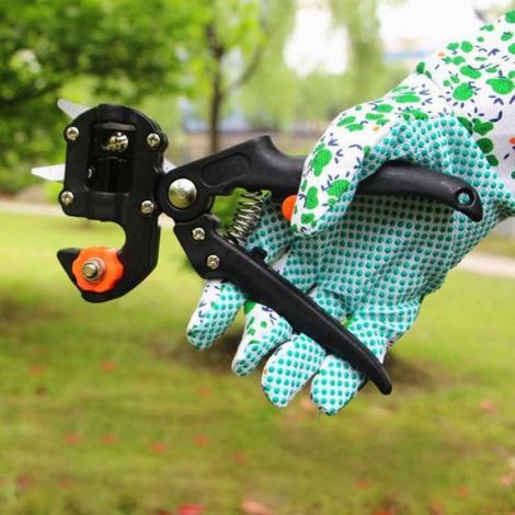Ciseaux de Greffage 2-en-1 avec Lames Rechange Kit Professionnel pour Taille et Greffe Plantes, Vignes Arbres Fruitiers (1/4)