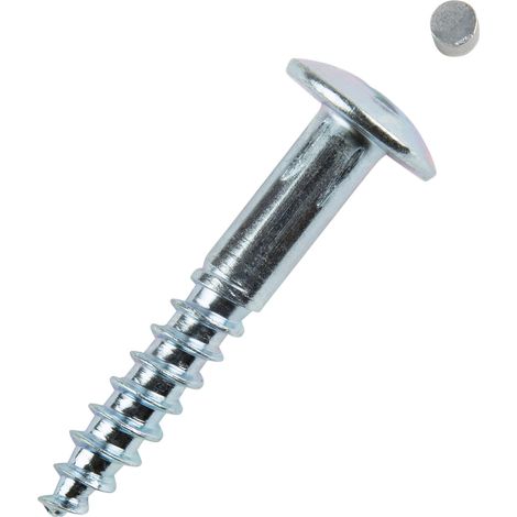 Schraube R 88110 diebstahlhemmend Ruko 8 x 50 Stahl galvanisch verzinkt