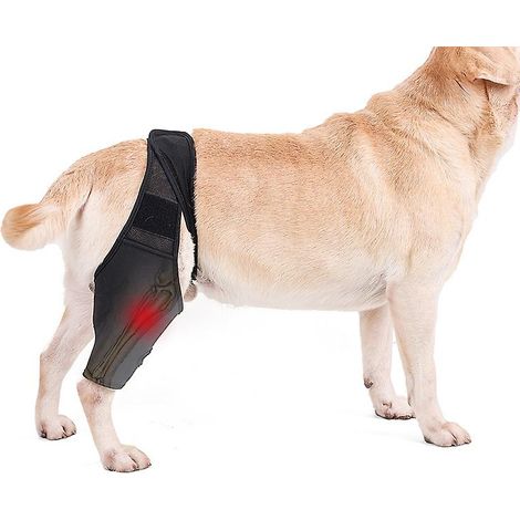 Genouillere Pour Chien - Soutien Articulaire Pour Lésion Du Ligament Croisé - Arthrite - Luxation De La Rotule - Taille M (1/5)