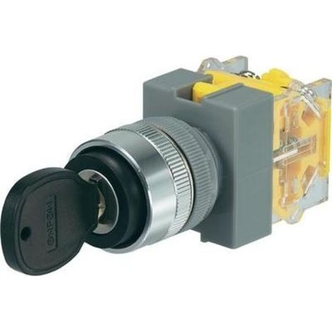 Commutateur à clé 704536 – Tension 250 V/AC – Courant 5 A – Indice IP40 – Angle 2 x 45° pour applications professionnelles - AC 5 A (1/2)