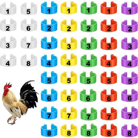 48 Bagues d'Identification pour Volaille - Plastique Multicolore - Clips Numérotés 1 à 8 - Élevage Poules Canards Oies - Diamètre 20mm (1/5)