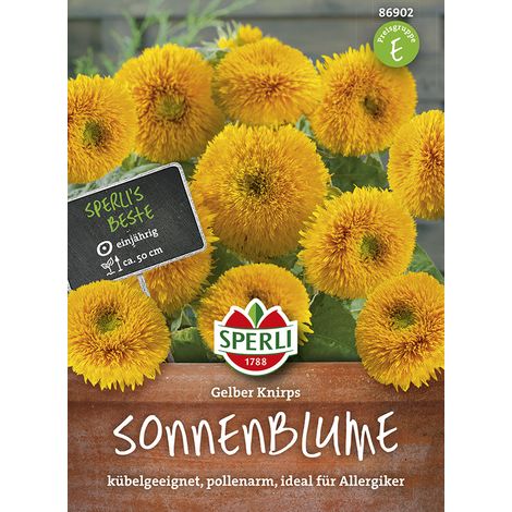 Sperli Sonnenblumen Gelber Knirps - Blumensamen (1/2)