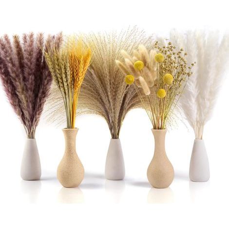 Natürliche getrocknete Pampas-Dekoration, 100 Stück, 40–44 cm, getrocknete Blumen, getrockneter Blumenstrauß, Pampasgras-Dekoration, dekorative Pampasgras-Pflanzen für Boho-Arrangements, Hochzeit, Sch (1/5)