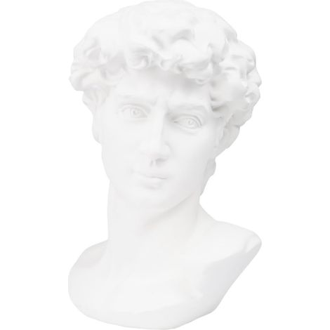 Croquis de Sculpture Tête de David en Résine Blanche, Statue Décorative Moderne et Aide Pédagogique Facile à Utiliser Maison et L'artisanat (1/5)