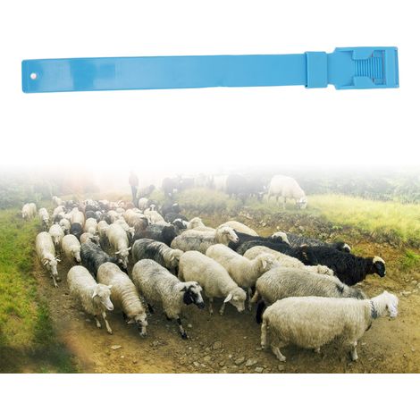 Collar de identificación para animales de granja – Collar de identificación de PU para cabras y ovejas – Juego de 10 collares de seguridad ligeros, 35 x 4 x 1,1 cm, azul (1/5)