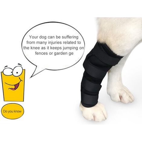 Genouillères Pour Chien - 1 PC De Protège-Plaie Chirurgical Pour Blessure Corporelle Pour Chien(s (1/4)
