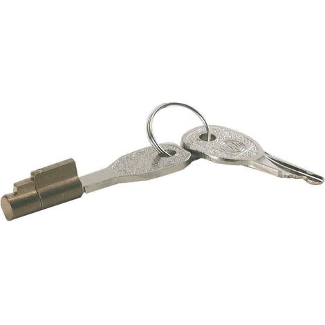 Imline – Antivol universel à clé pour tête d'attelage – Système de verrouillage à clé – Compatible remorques et caravanes – Installation rapide (1/2)