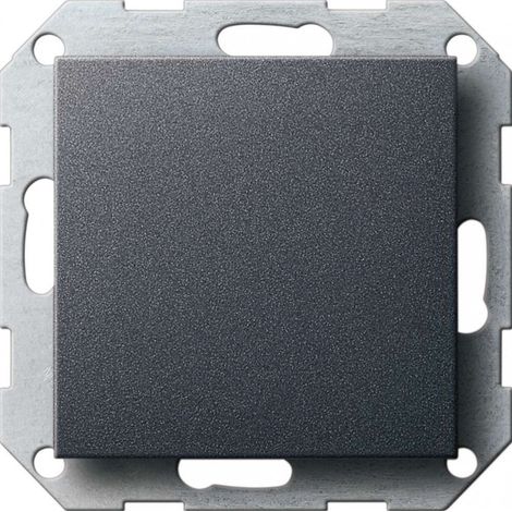 GIRA 1730191 placa de pared y cubierta de interruptor Antracita