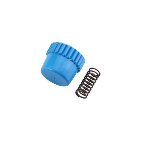 Accessoires de Tête de Coupe pour Débroussailleuse T25 Couverture Bleue et Ressort TT25 - (1/3)