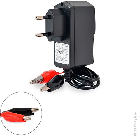 NX – Chargeur plomb 12V 0.5A 110-230V – Pinces crocodiles – Charge optimisée conforme CE, DEEE, RoHS – Pour batteries 12V