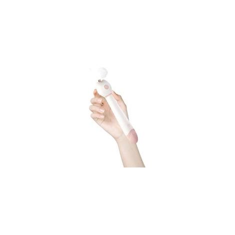 Canne à plumes laser double tête pour chat, 2 en 1, rétractable, poudre de fleur de cerisier –