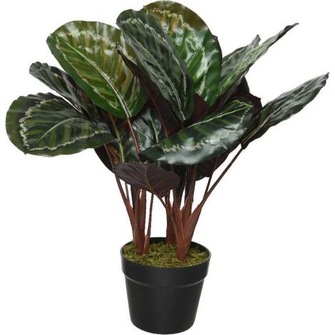 CALATEA IN VASO 60X60X47 CM (1/3)