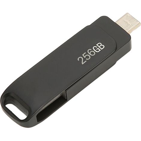 Clé USB 3.0 Type C Double Métal Rotatif 256Go Noir - Stockage Photos Tablettes Portable (1/5)