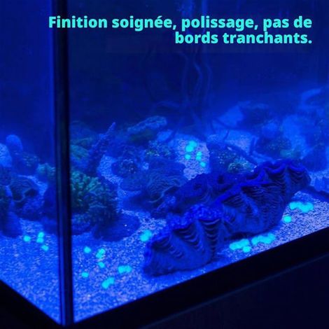 450 pièces Pierre Lumineuse,Caillou Galets Phosphorescent Pierres Décoratives de Pot de Fleur 9 13MM Jardin Decoration pour GRAVIER (1/5)