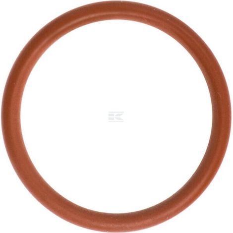 Anillo de retenci贸n LOMBARDINI ED0012000810S (1/2)