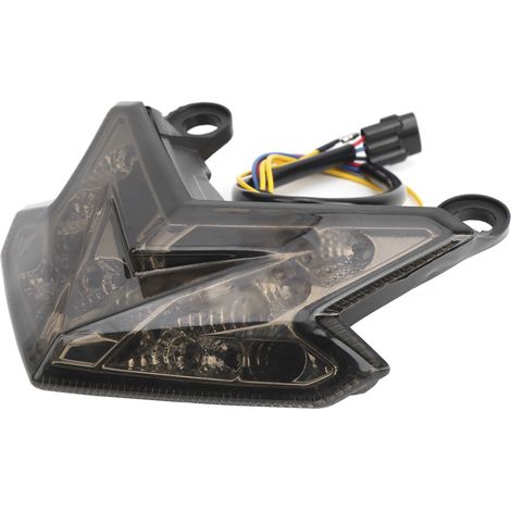 Motorrad-LED-Rücklicht, integrierter hinterer Kotflügel, passend für KAWASAKI KCWDZ800/ZX6R 1315 (Tawny) (1/5)