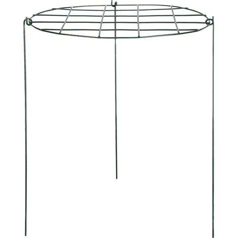 Support à plantes en métal fer en forme de grille pour jardin, support pour fraisiers, tuteur pour plantes (1/5)