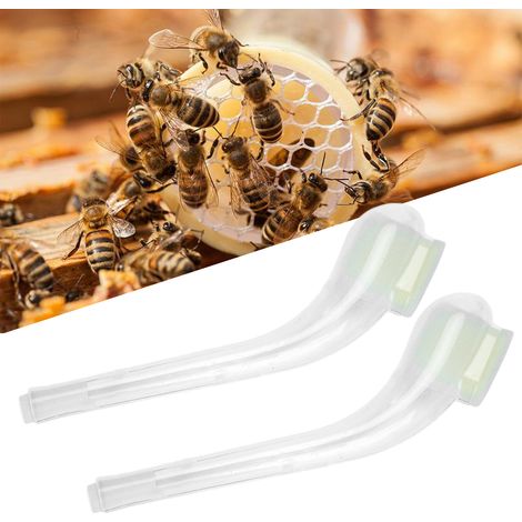 10 unités à vendre : tubes apicoles en plastique, pièges à reines, matériel apicole professionnel pour cages, outils apicoles transparents (1/5)