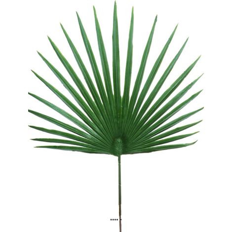 Feuille palmier Chamaerops artificielle H 53 cm D 36 cm ext