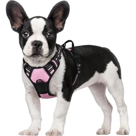 Harnais Chien S Arnais Rose Anti Traction Réfléchissant Gilet Réglable pour Chien, Attache Devant Crochet de Laisse pour Randonnée Trajet Voiture, Bouledogue Français, Berger Australien (1/5)
