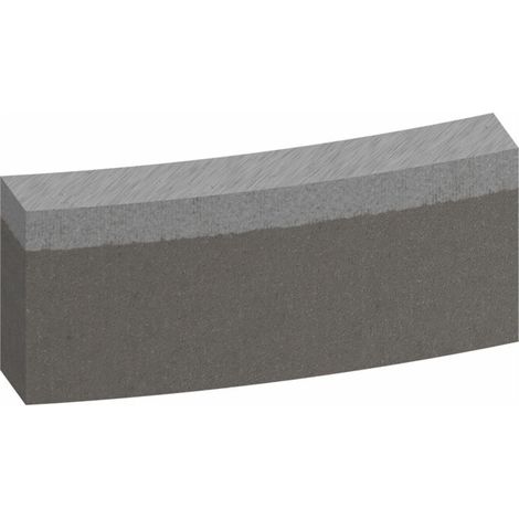 Segments Bosch pour trépan diamanté Standard pour béton 152 mm 12 10 mm 12 pièces (1/5)