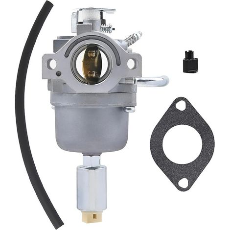 591731 Carburateur 796109 594593 590400 796078 498811 794161 carburateur (1/5)