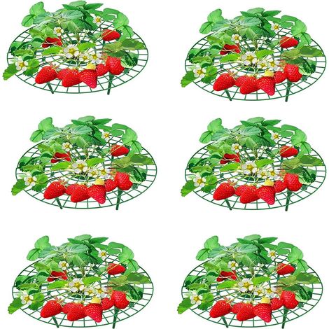 SHINING HOUSE Soportes para plantas de fresas, soportes para plantar fresas en invernaderos y macetas para evitar la pudrición del suelo, 30 x 9,5 cm, color verde (1/5)