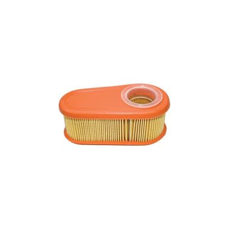 Luftfilter 795066 , 992368 für Rasenmähermotor briggs & stratton