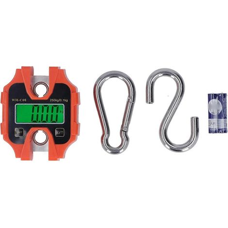 Mini-Digital-Kranwaage, 250 kg Messbereich, tragbar, abnehmbares LCD-Display, Handwaage zum Aufhängen, industrietauglich