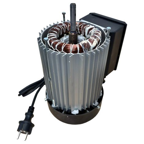 Ersatzmotor Industriemotor Elektromotor 230V 2,3kW 50Hz Motor für Holzspalter