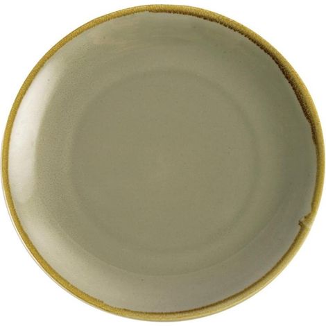 Assiette Plate Ronde Couleur Mousse Kiln 280 mm - Lot de 4 - (1/5)