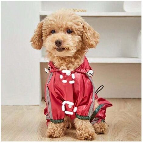 QORVA-Manteau imperméable pour petit chien, imperméable pour animal de compagnie, imperméable, imperméable, pour petit chien, antidérapant, rouge, S (1/4)