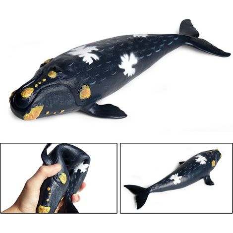 Modèles d'animaux marins simulés : requin-baleine, baleine à bosse, baleine franche. Jouets (1/4)