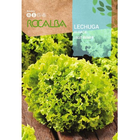 Rokalba Lolllol Bionda 6G, Pack 5x