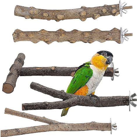 Ensemble de 5 perchoirs en bois naturel, accessoires pour perruches, griffes, arbres à oiseaux et cages à oiseaux. (1/4)