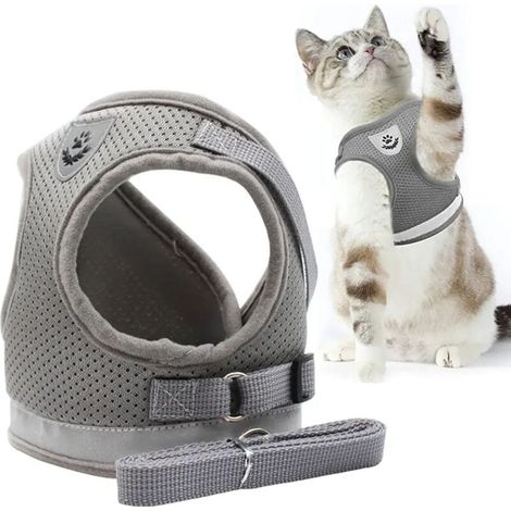 Harnais pour chat anti fuite avec laisse taille M pour promenade et sécurité accessoire de sortie pour animal (1/5)