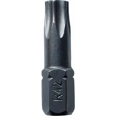 10 embouts forge torx longueur : 25 - TX10