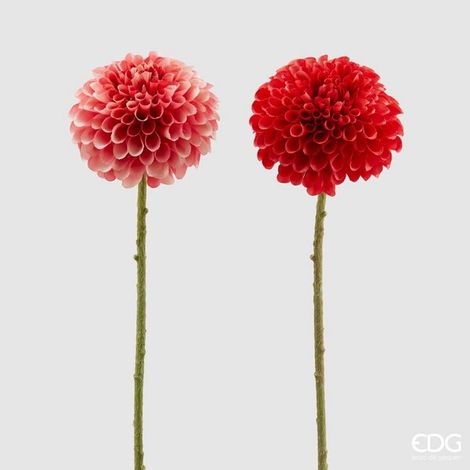 EDG Enzo De Gasperi Dalia rex H 65 Cm Rosa o Rosso 1 Pz
