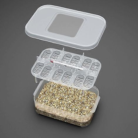 Filiyano – kit de bricolage pour – Incubateur pour 12 œufs de reptiles, plateau, thermomètre, kit de bricolage pour gecko, lézard et serpent (1/5)