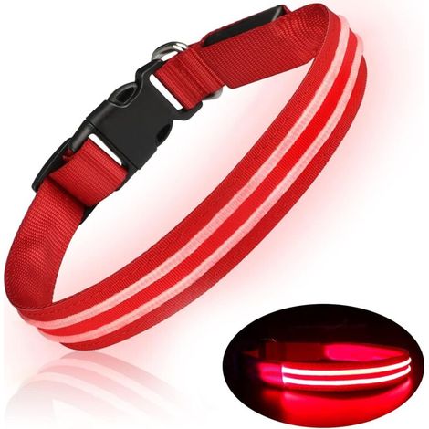 LED Hunde Halsband Wiederaufladbares Leuchtendes Hunde Halsband Wasserdicht Blinkendes Chein Halsband Verstellbar für Kleine Mittelgroße Hunde - Rot -S (1/4)