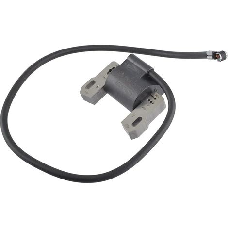 Zündspule zum Abschalten für Briggs & Stratton 398811 395492 398265 490586 491312 492341 495859 591459 (1/5)