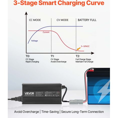 Chargeur Batterie Lithium LiFePO4 Intelligent 12 V 20 A 14 (1/5)