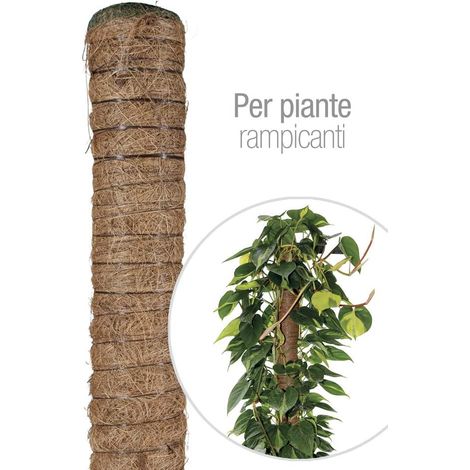 Bastone piante rampicanti Tutore Muschiato con Tubo in plastica e Fibra di Cocco, 80 cm