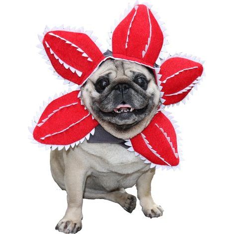 Costume pour chien Demogorgon - Chapeau d'Halloween avec motif floral effrayant pour chat et chien - Chapeau mignon pour cosplay - R