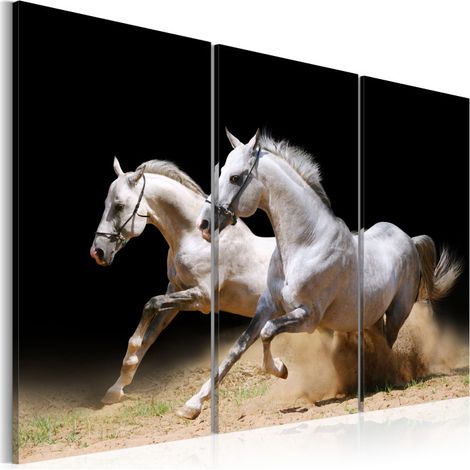 Tableau Imprimé "Chevaux Force & Dynamique" 40 x 60 cm (1/2)