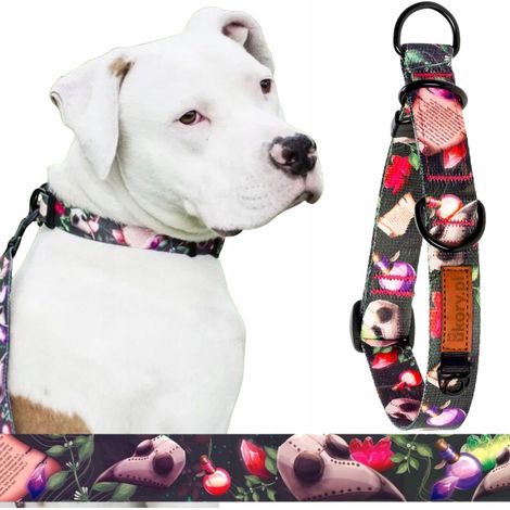 Collar de entrenamiento de medio estrangulamiento para cachorros de perros pequeños de 20-27 cm Ukory (1/5)