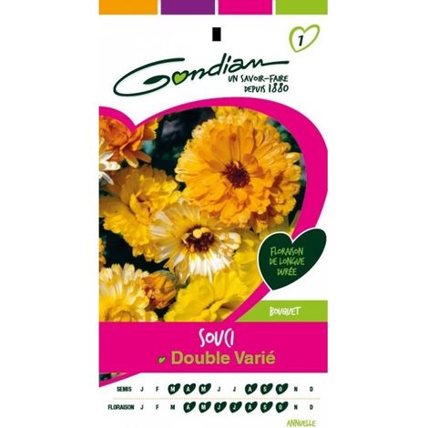 Gondian - Souci Double Varié