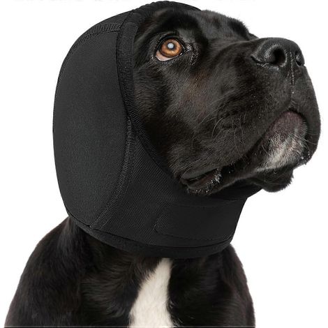 Coussinets antibruit cache-oreilles chien protection anti-vibrations anti-anxiété sonore sweat imperméable élastique taille M noir