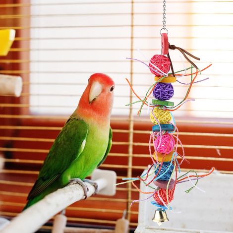 Jouet à mâcher coloré pour perroquet, balançoire suspendue en bois avec boule de rotin (1/5)